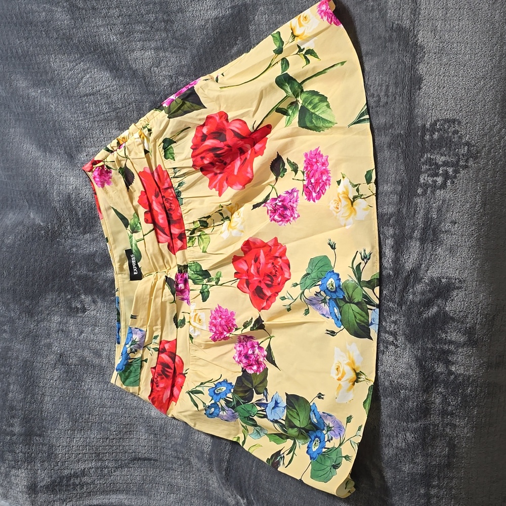Express skirt